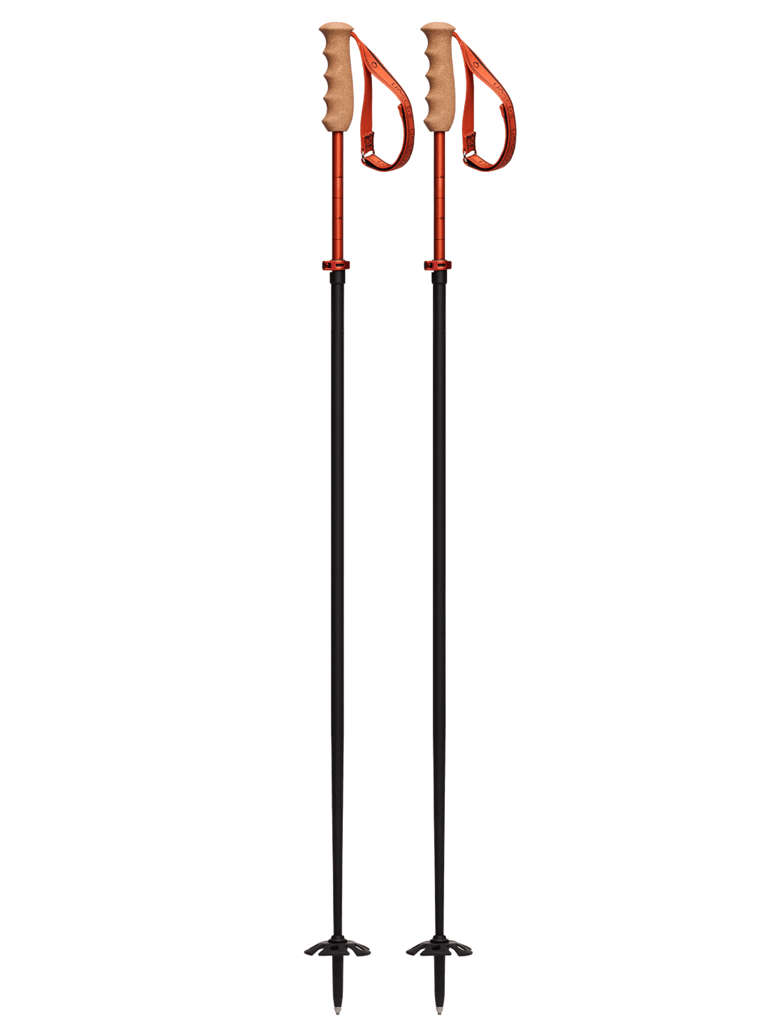 スキーポール – season