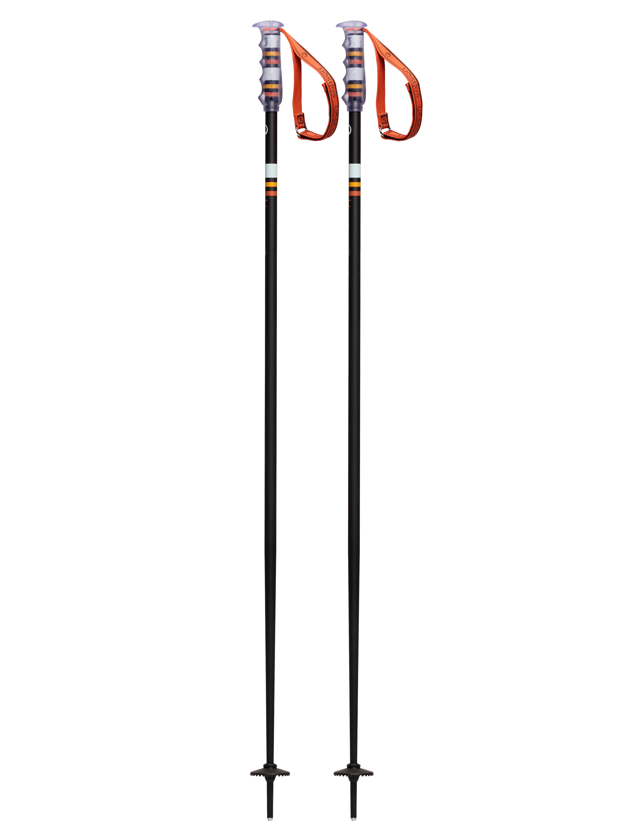 community ski poles – season